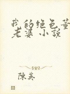 我的绝色董事长老婆 小说