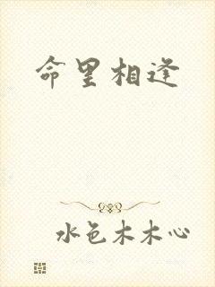 命里相逢