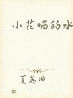 小花喵的水蜜桃封面