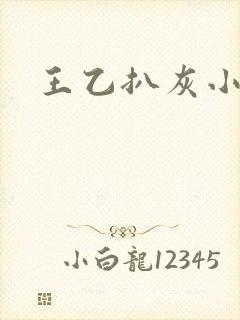 王乙扒灰小说封面