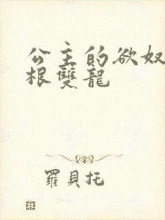 公主的欲奴h四根双龙