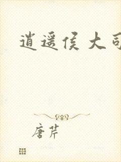 逍遥侯 大司空封面