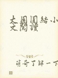大团圆结小茹全文阅读