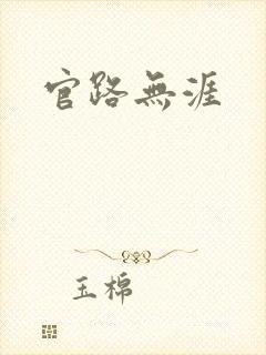 官路无涯封面
