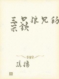 三只狼兄的宠妻宋钦