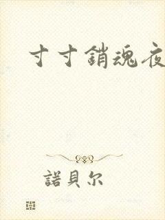 寸寸销魂夜春光