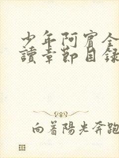 少年阿宾全文阅读章节目录