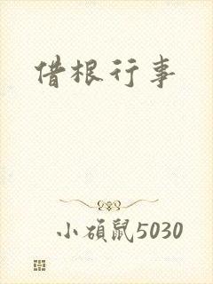 借根行事封面