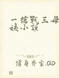 一枪战三母2雪姨小说封面