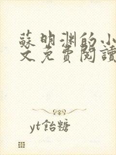 苏明渊的小说全文免费阅读无弹窗封面