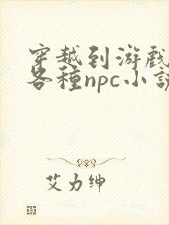 穿越到游戏里和各种npc小说封面