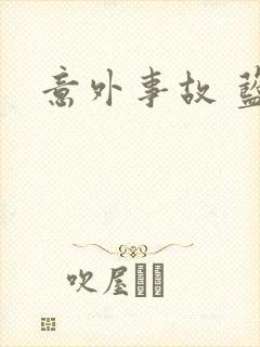 意外事故 蓝淋封面