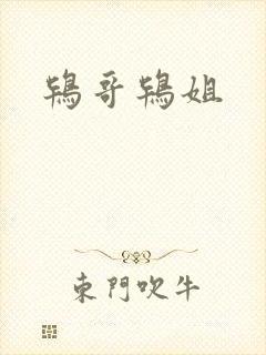 鸨哥鸨姐封面