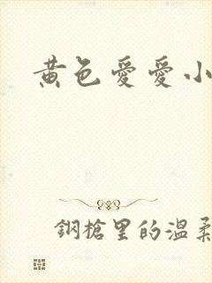 黄色爱爱小说