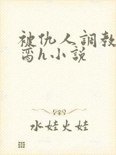 被仇人调教成禁脔h小说