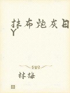 抹布炮灰日记BY封面