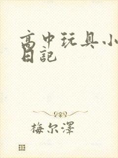 高中玩具小诗的日记