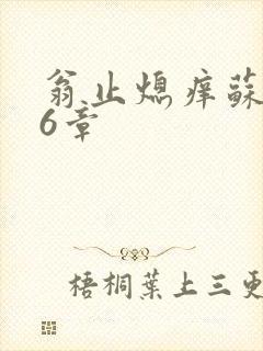 翁止熄痒苏玥第6章