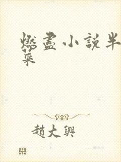 燃尽小说半截白菜