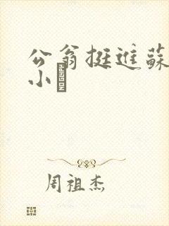 公翁挺进苏玥的小泬