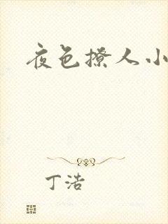夜色撩人小说