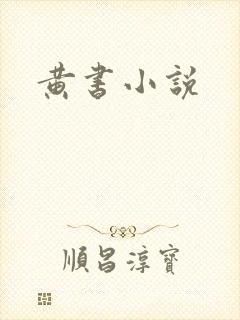 黄书小说