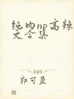 纯肉np高辣h文合集封面