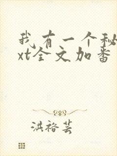 我有一个秘密txt全文加番外