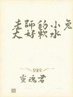 老师的小兔子好大好软水