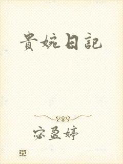 贵婉日记封面