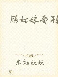 雁姑娘受刑记封面