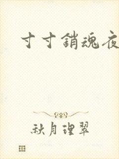 寸寸销魂夜春光