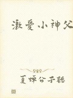 激爱小神父
