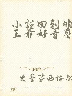 小说回到明朝当王爷好看么封面