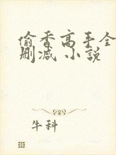 偷香高手全文无删减 小说