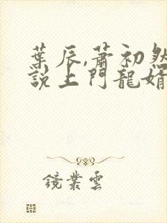 叶辰,萧初然小说上门龙婿