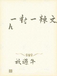 一对一辣文小说h