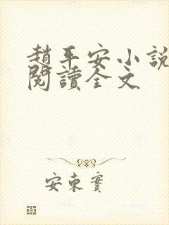 赵平安小说免费阅读全文