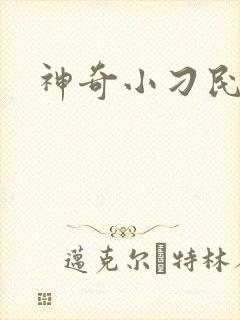 神奇小刁民
