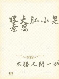 眼大肚小是什么意思