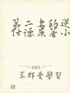 第二名的逆袭高仕德原著小说