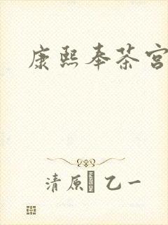 康熙奉茶宫女封面