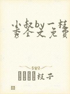 小叔by一枝独秀全文免费阅读笔趣阁最