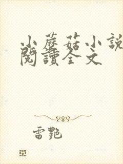 小蘑菇小说免费阅读全文封面