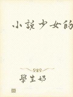 小说少女的心
