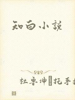 知白小说