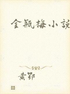 金瓶梅小说下载