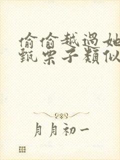 偷偷越过她by甄栗子类似小说