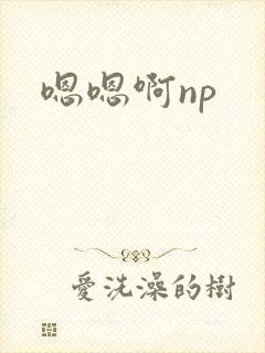 嗯嗯啊np封面
