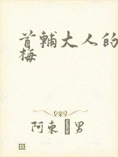 首辅大人的小青梅